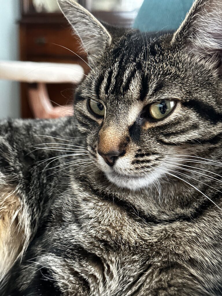 70259270617 69c338d5 3a15 4973 9341 9b061540b763