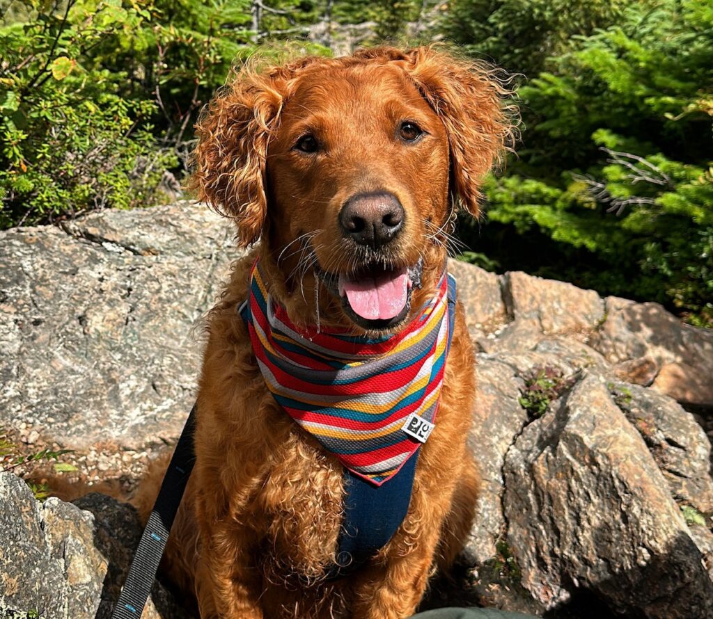 abebd0f3 d544 4cae 82b5 35a952df6735