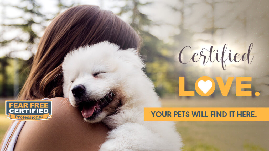 cover certified love dog