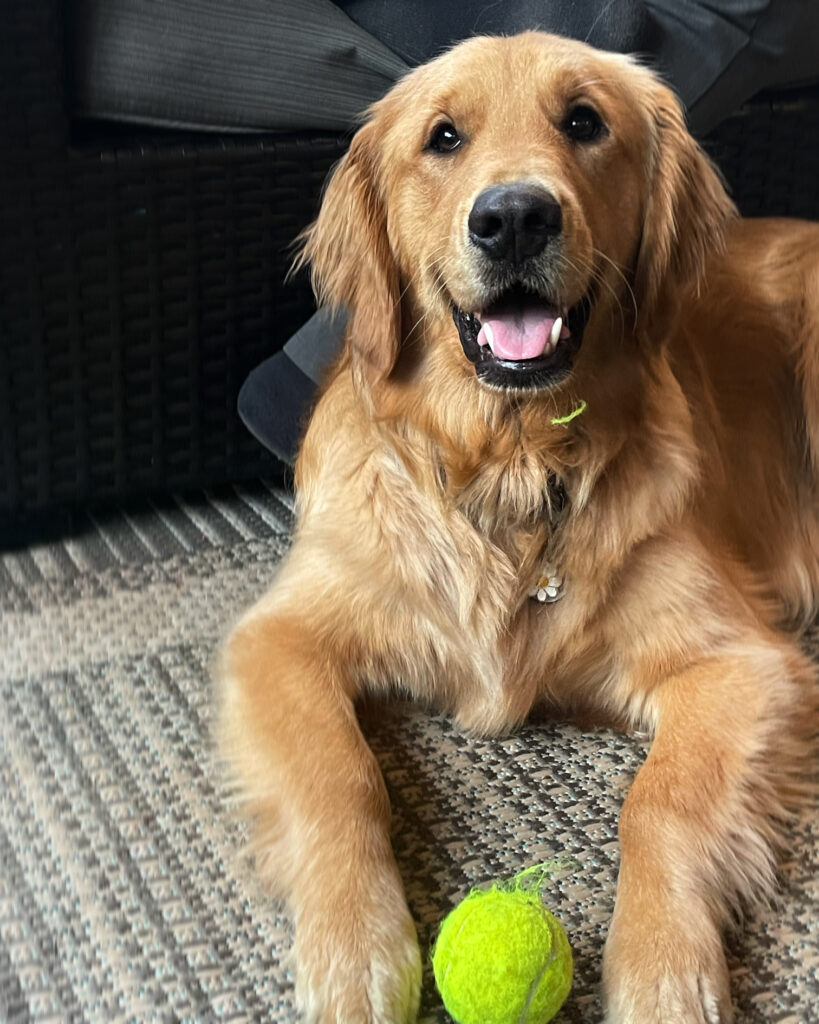 da120be4 a3a9 42ee 8dbe 8be9e19ebaa0